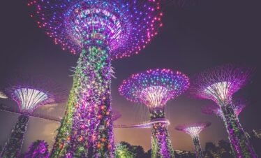 multicolored lights on posts