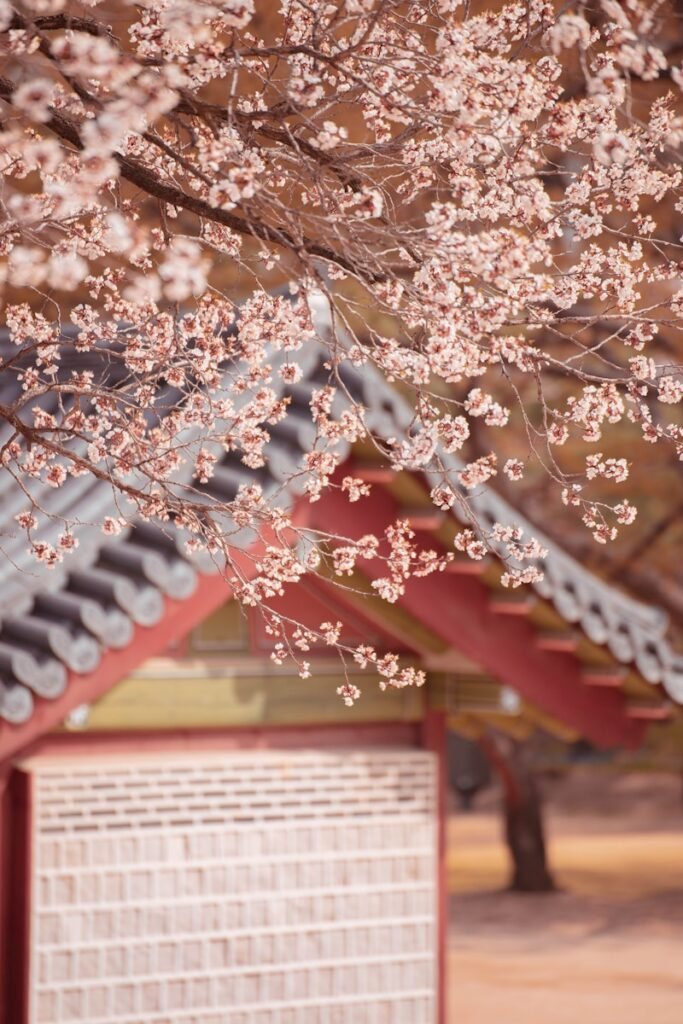 a tree with pink flowers in front of a building