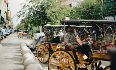 people riding on brown wooden carriage during daytime